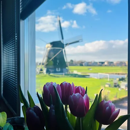 Bed & Breakfast Millsight