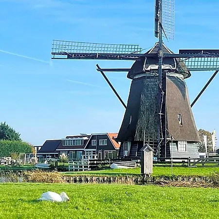 Millsight Uitgeest