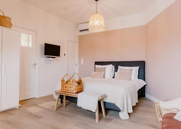 Bed and Breakfast Millsight Uitgeest