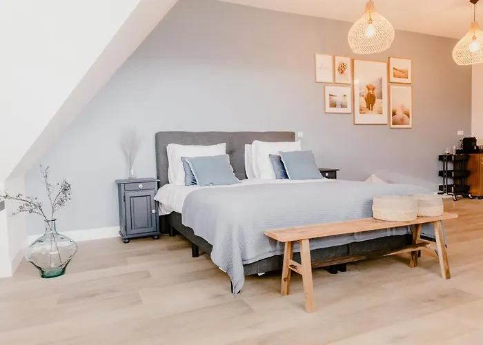 Millsight 4* Uitgeest