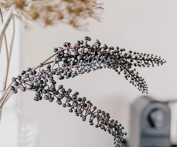 Millsight Bed and Breakfast Uitgeest