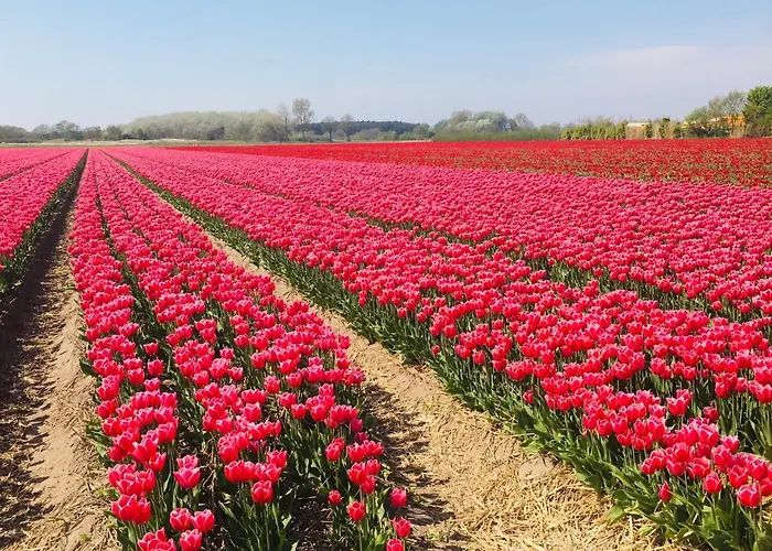 Bed and Breakfast Millsight