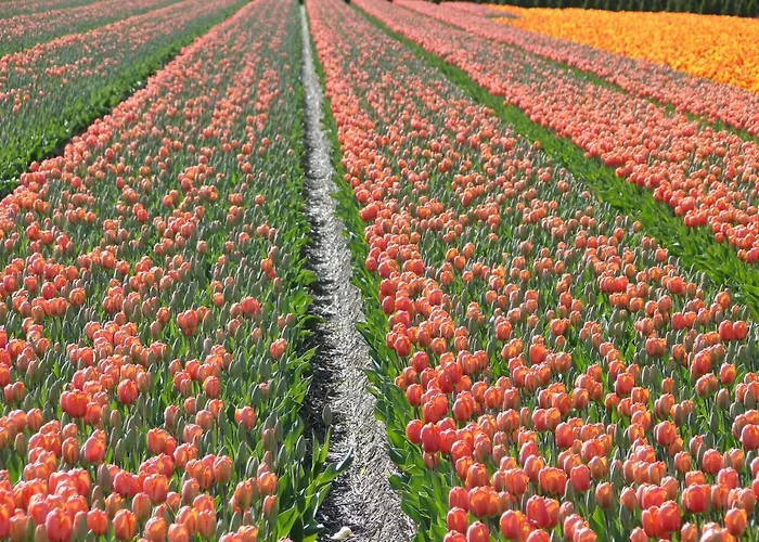 Bed and Breakfast Millsight 4*