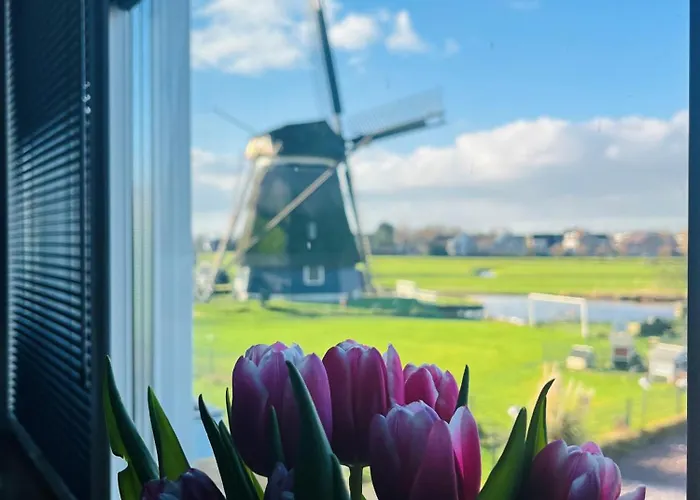 Bed and Breakfast Millsight