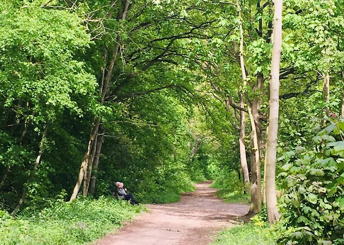 Bed and Breakfast Millsight 4*