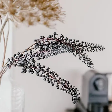 Millsight Bed and Breakfast Uitgeest