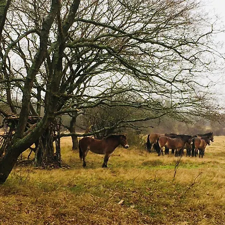 Millsight Отель типа 